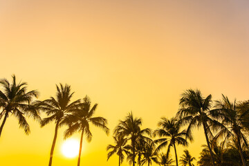 Wall Mural - Beautiful coconut palm tree with sky at sunset or sunrise