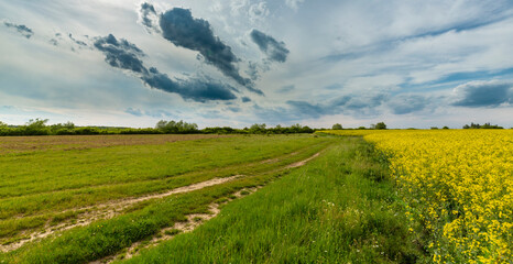 beautiful rural fields in spring, under dramatic stormy sky
