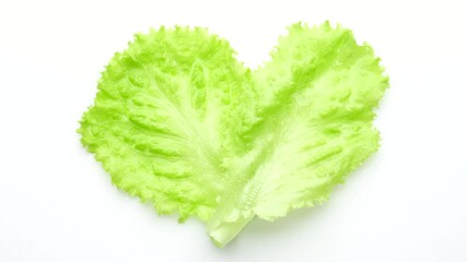 Wall Mural - lettuce leaf as heart on white background. green salad lettuce. Healthy food concept