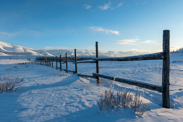 Wall Mural - Farmland surrounded by wooden fence. Altai Republic, Siberia, Russia.