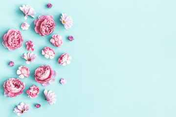 Flowers composition. Pink flowers on pastel blue background. Flat lay, top view