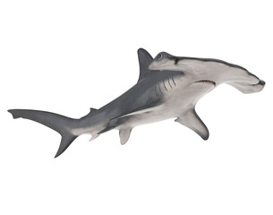 Poster - Hammerhead Shark Isolated