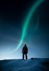a person standing on snowy rock in winter and looking at northern lights on the sky