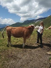 Woman Looking At Cow Smelling Dog While Standing Against Mountains