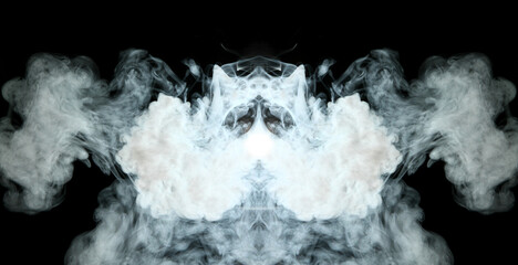 Canvas Print - smoke is a collection of airborne particulates and gases emitted when a material undergoes combustio