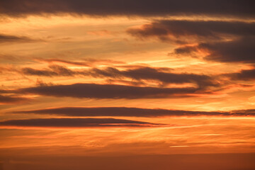 Wall Mural - red dramatic sunset beautiful sky red cloud golden light of the sun background
