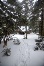 Shelter In The Pisgah National Forest In The Middle Of Winter	