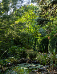 Wall Mural - Beautiful small garden pond with stone banks against  backdrop of evergreen and deciduous plants. Evergreen landscaped garden. Nature concept for design