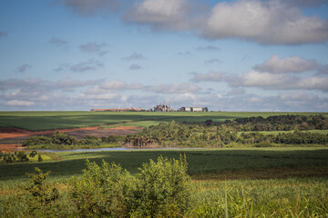 Rural landscape with green sugar cane plantation, red earth and blue sky in the interior of Brazil