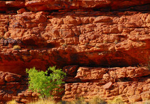Red Rock Layers Revealed By Erosion In The Northern Territory Of Australia.