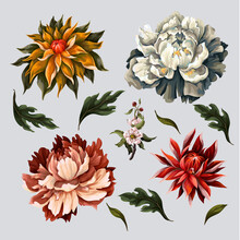 Vintage Dark Flowers Such As Peony, Rose And Chrysanthemum Isolated. Vector.