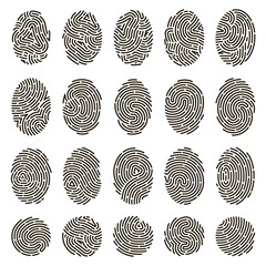 Fingerprint identification. Biometric human fingerprints, unique thumb lines imprint. Security fingerprint authentication vector illustration set. Fingerprint imprint pattern collection