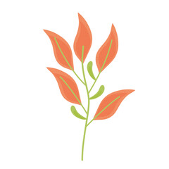 Poster - branch with orange leafs plant spring icon vector illustration design