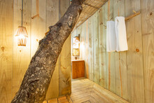 Modern Luxury Summer Holiday Or Vacation Wooden Beach House Bathroom Entrance Interior With A Living Tree Log Inside It.