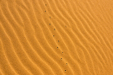 Sticker - Sand patterns of the Singing Dunes, the only sand dune in Kazakhstan, Altyn-Emel National Park, Kazakhstan