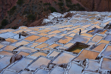 A worker on the Maras salt pans at sunset, Sacred Valley, Peru