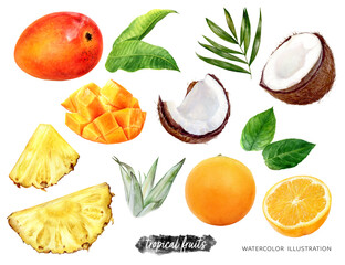 Wall Mural - Pineapple orange mango coconut set watercolor illustration isolated on white background