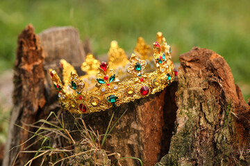 Wall Mural - Beautiful golden crown on stump outdoors, closeup. Fantasy item