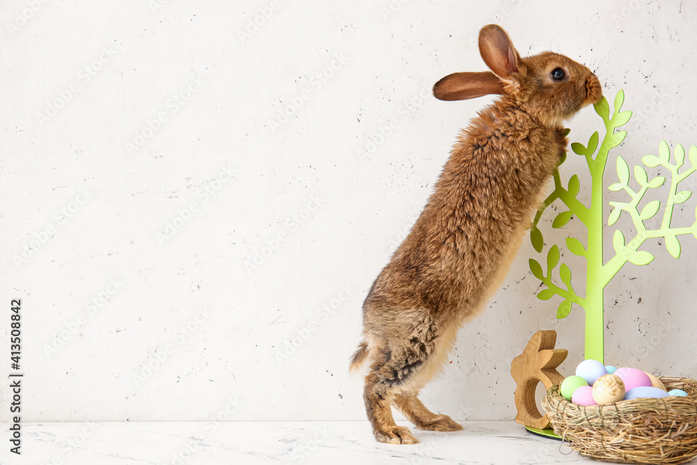 Cute rabbit, decor and Easter eggs on light background