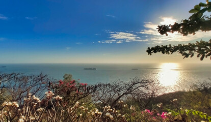 Wall Mural - View of the sea and coastline and ships in Vung Tau. Trees and Slopes. Vietnam. South-East Asia	