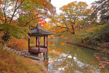 Gazebo By Lake In Park During Autumn