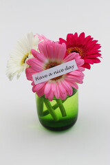 Wall Mural - Have a nice day card with three gerbera daisies in green transparent glass on white background
