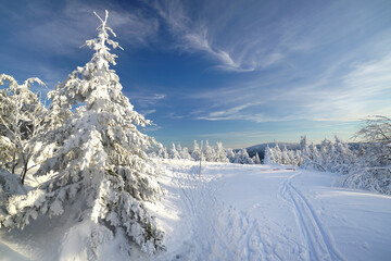 Canvas Print - Winter in den Bergen