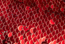 Macro Of Bright Red Sequins In A Pattern