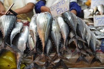 Etal de poissons à Lima, Pérou