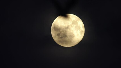 Wall Mural - Bird silhouette flying in front of close up full moon