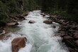 reißender, lebendiger Fluss in Österreich