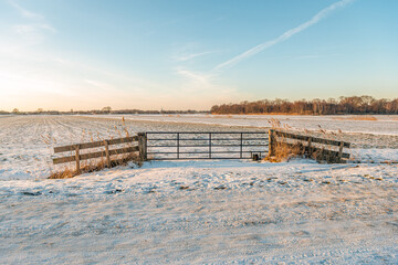 Wall Mural - Closed iron gate in the foreground of a snowy field. The photo was taken on a sunny day in the Dutch winter season.