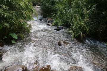 Wall Mural - water flowing over rocks