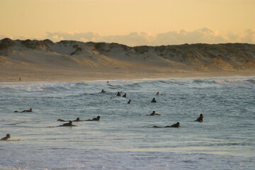 Many surfers sit and lie on their surfboards between breaking approaching waves on a beach in Portugal on the Atlantic Ocean