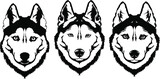 Fototapeta Konie - Beautiful black white dog head (muzzle) breed husky or wolf
A set of elements for the logo or cutting out of needlework