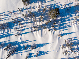 Wall Mural - Landscape Sheregesh snow covered pine forest in mountains during winter aerial top view