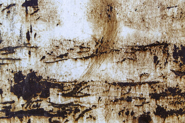 Wall Mural - Rust texture on metal wall