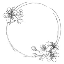 Wreath With Flowers. Circle, Round Composition With Sakura, Cherry, Apple Blossoms.