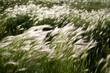 © Cavan Images - Tranquil view of grass on field