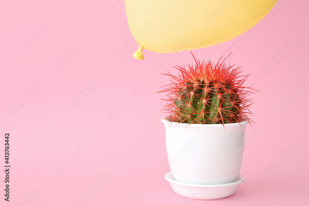 Cactus and air balloon on color background