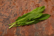 Aroma Fresh green sorrel heap