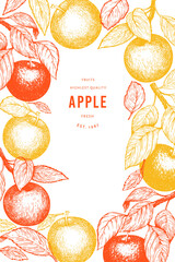 Wall Mural - Apple branch design template. Hand drawn vector garden fruit illustration. Engraved style fruit retro botanical banner.