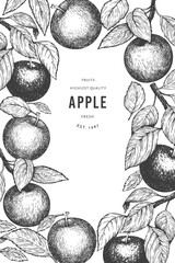 Wall Mural - Apple branch design template. Hand drawn vector garden fruit illustration. Engraved style fruit retro botanical banner.