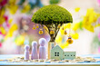 © Watchara - Home model and family put on the stack gold coin with growing as gold money bag of tree with interest value in the public park, Saving money or loan for business investment of real estate concept.