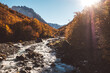 © Cavan Images - Fast stream in autumn countryside