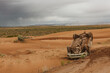 © Cavan Images - flipped car off of a slippery dirt road in the desert road to the maze
