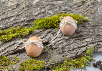 chicken egg decorated for Easter on the background of tree bark and moss