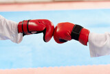 Fototapeta  - Close up of red boxing gloves hitting together at bright class.