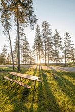 Sun Rises Over Picnic Tables At Rest Area In Forest Along Maine Coast