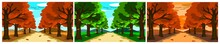 Set Of Three Vector Images. It Is A Picture Of The Road On Both Sides Of The Road With Trees And Sky Mountains. It Is A Cartoon Style With Beautiful Colors. Can Be Used As A Decoration Or Background
